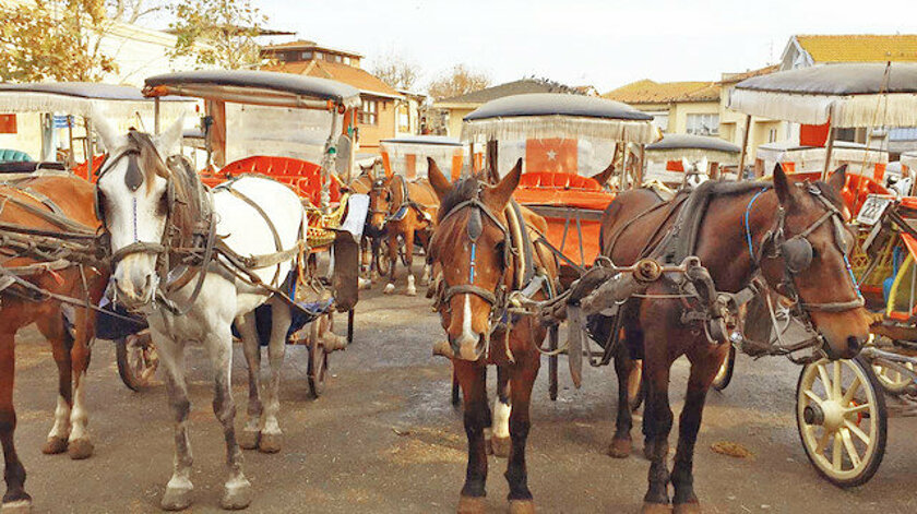 İmamoğlu: Adalar'da sadece turistik amaçlı fayton kalacak
